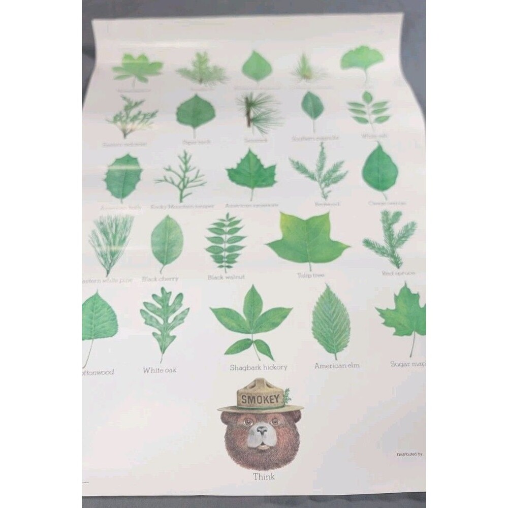 Vintage 1989 Smokey Bear Think Tree Leaf Identification Poster USDA 20x30